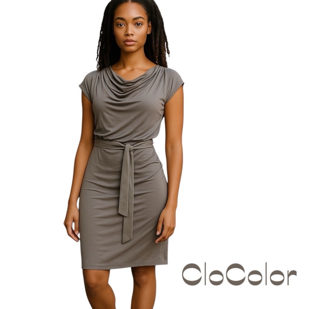 CloColor Silver With Belt Dress NWT Size S